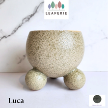 Load image into Gallery viewer, Luca Flowerpot
