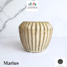 Load image into Gallery viewer, Marius Flowerpot