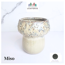 Load image into Gallery viewer, Miso Flowerpot