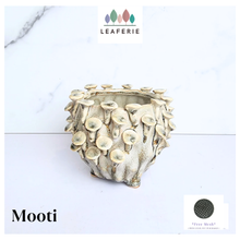 Load image into Gallery viewer, Handmade Mooti Flowerpot
