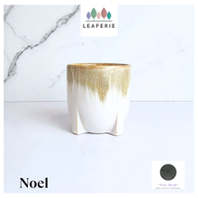Load image into Gallery viewer, Noel Flowerpot