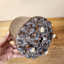 Load image into Gallery viewer, The Leaferie Ide pot. purple ceramic pot with studs at the bottom.