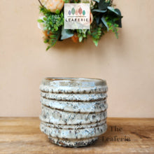 Load image into Gallery viewer, The Leaferie Liadan beige ceramic flowerpot