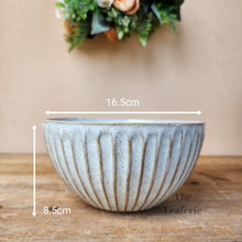 Load image into Gallery viewer, The Leaferie Cessair shallow plant pot. ceramic bowl. front view. size