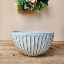 Load image into Gallery viewer, The Leaferie Cessair shallow plant pot. ceramic bowl. front view