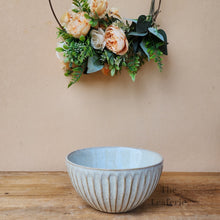 Load image into Gallery viewer, The Leaferie Cessair shallow plant pot. ceramic bowl. front view
