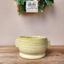 Load image into Gallery viewer, The Leaferie Caiomhe pot. yellowe shallow ceramic plant pot. front view