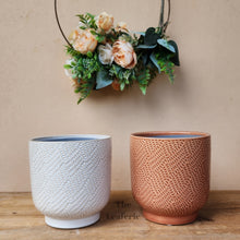 Load image into Gallery viewer, The Leaferie Bronagh Plant pot. ceramic white and orange pot . front view