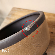 Load image into Gallery viewer, As-Is Pots Batch April 2023 (8 items)