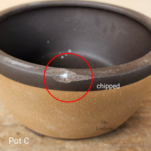 Load image into Gallery viewer, As-Is Pots Batch April 2023 (8 items)