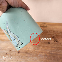 Load image into Gallery viewer, As-Is Pots Batch April 2023 (8 items)