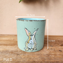 Load image into Gallery viewer, As-Is Pots Batch April 2023 (8 items)