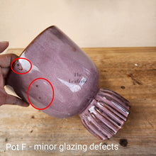 Load image into Gallery viewer, As-Is Pots Batch April 2023 (8 items)