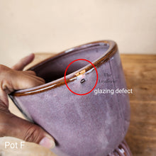 Load image into Gallery viewer, As-Is Pots Batch April 2023 (8 items)