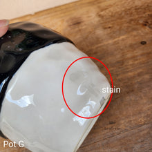 Load image into Gallery viewer, As-Is Pots Batch April 2023 (8 items)