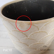 Load image into Gallery viewer, As-Is Pots Batch May 2023 (12 items)