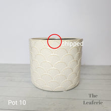 Load image into Gallery viewer, As-Is Pots Batch May 2023 (12 items)