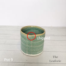 Load image into Gallery viewer, As-Is Pots Batch May 2023 (12 items)