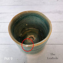 Load image into Gallery viewer, As-Is Pots Batch May 2023 (12 items)