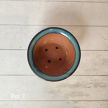 Load image into Gallery viewer, As-Is Pots Batch May 2023 (12 items)