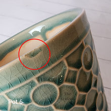 Load image into Gallery viewer, As-Is Pots Batch May 2023 (12 items)