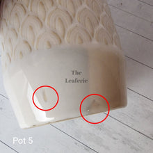 Load image into Gallery viewer, As-Is Pots Batch May 2023 (12 items)