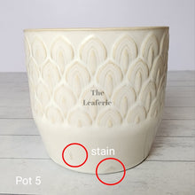 Load image into Gallery viewer, As-Is Pots Batch May 2023 (12 items)