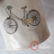 Load image into Gallery viewer, As-Is Pots Batch May 2023 (12 items)