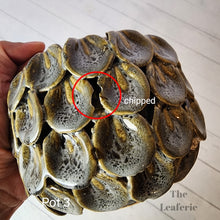 Load image into Gallery viewer, As-Is Pots Batch May 2023 (12 items)