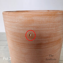 Load image into Gallery viewer, As-Is Pots Batch May 2023 (12 items)