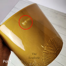 Load image into Gallery viewer, As-Is Pots Batch May 2023 (12 items)