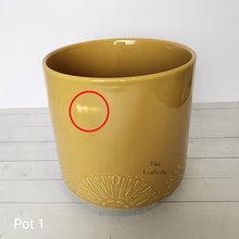 Load image into Gallery viewer, As-Is Pots Batch May 2023 (12 items)