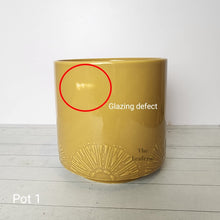 Load image into Gallery viewer, As-Is Pots Batch May 2023 (12 items)