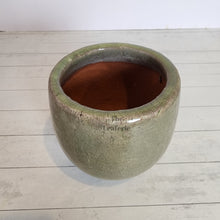 Load image into Gallery viewer, The Leaferie Vespasian green glossy ceramic pot