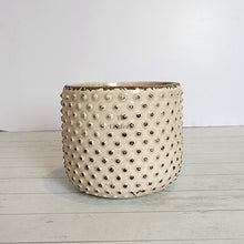 Load image into Gallery viewer, The Leaferie Eluon planter. cream ceramic pot. front view