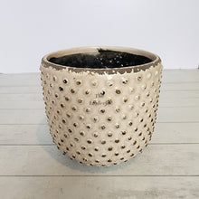 Load image into Gallery viewer, The Leaferie Eluon planter. cream ceramic pot. front view