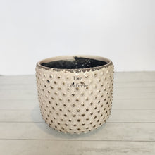 Load image into Gallery viewer, The Leaferie Eluon planter. cream ceramic pot. front view