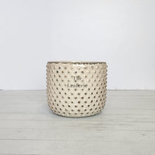 Load image into Gallery viewer, The Leaferie Eluon planter. cream ceramic pot. front view