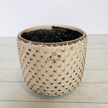 Load image into Gallery viewer, The Leaferie Eluon planter. cream ceramic pot. front view
