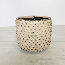 Load image into Gallery viewer, The Leaferie Eluon planter. cream ceramic pot. front view