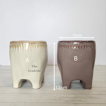 Load image into Gallery viewer, The Leaferie Maolisa ceramic tooth flowepot