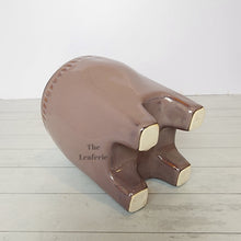 Load image into Gallery viewer, The Leaferie Maolisa ceramic tooth flowepot