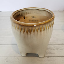 Load image into Gallery viewer, The Leaferie Maolisa ceramic tooth flowepot