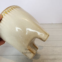 Load image into Gallery viewer, The Leaferie Maolisa ceramic tooth flowepot