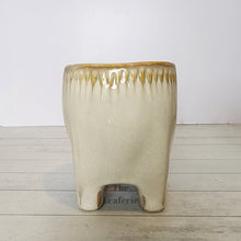 Load image into Gallery viewer, The Leaferie Maolisa ceramic tooth flowepot