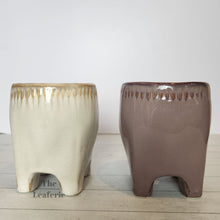 Load image into Gallery viewer, The Leaferie Maolisa ceramic tooth flowepot