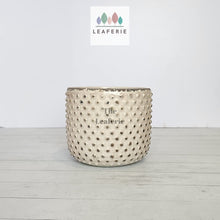 Load image into Gallery viewer, The Leaferie Eluon planter. cream ceramic pot. front view