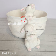 Load image into Gallery viewer, As-Is Pots Batch June 2023 (13 items)