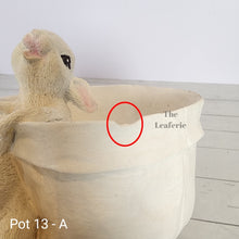 Load image into Gallery viewer, As-Is Pots Batch June 2023 (13 items)