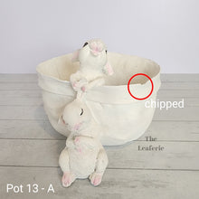 Load image into Gallery viewer, As-Is Pots Batch June 2023 (13 items)